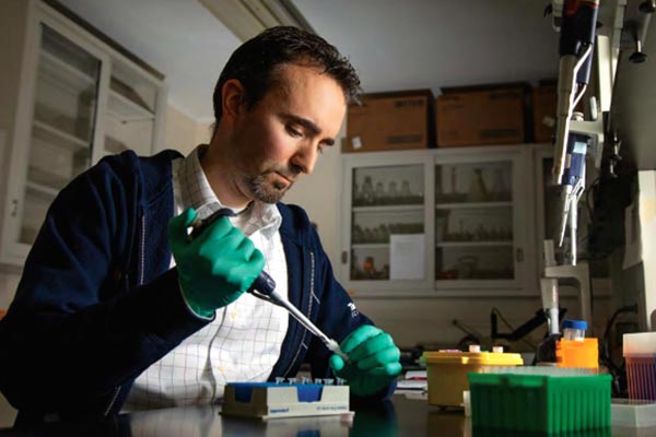 Researcher doing molecular work in a CVB laboratory.