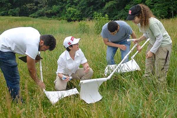 CVB researchers demonstrate tick surveillance in the field.