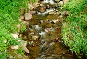 A stream.